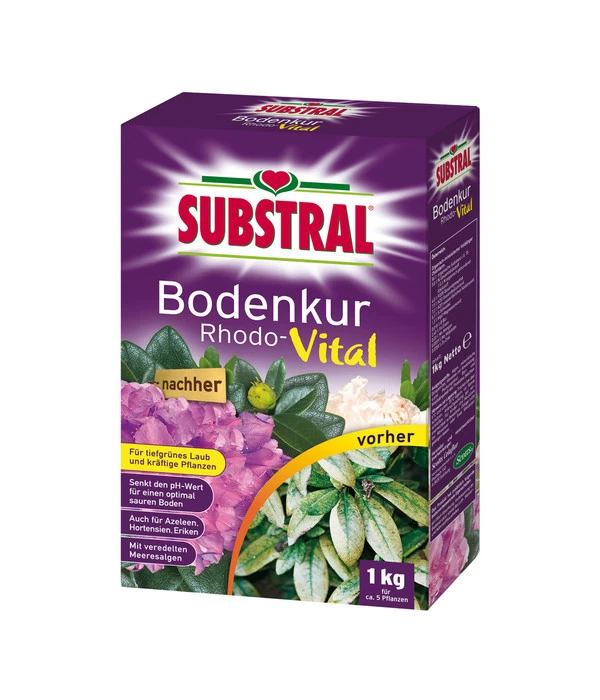 Substral® Bodenkur Rhodo-Vital, 1 Kg 1 Substral® Bodenkur Rhodo-Vital, 1 Kg