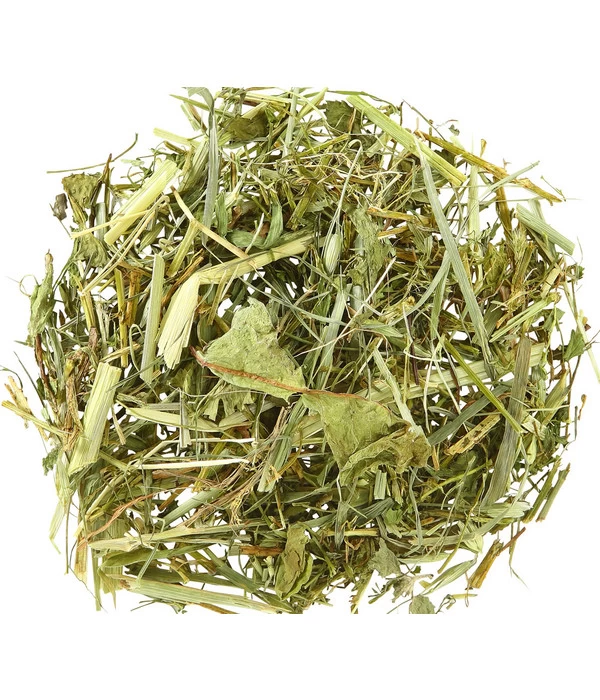 Dehner Kräuter-Mix, 125 G 2 Dehner Kräuter-Mix, 125 G – Bild 2