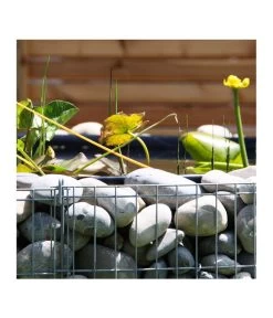 Bellissa Hochteich Bausatz, 146 X 146 X 40 Cm -Gartenmöbelgeschäft 1597145 WE DE 002 bellissaHochteichBausatz146x146x40cmGabione