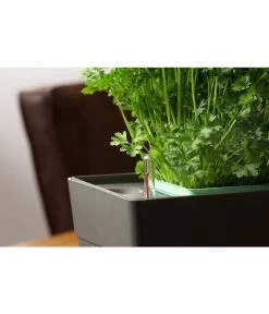 GREENBAR® Kräuterkasten, Ca. B48/H15,5/T16 Cm -Gartenmöbelgeschäft 20150713 350 greenbar fuellanzeiger studio herzig