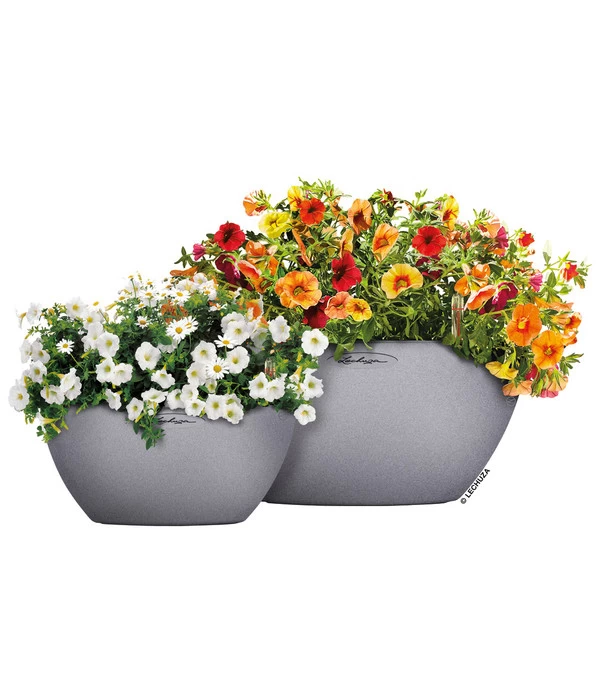 LECHUZA® Kunststoff-Schale Cubeto Stone, Rund 3 LECHUZA® Kunststoff-Schale Cubeto Stone, Rund – Bild 3