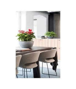 LECHUZA® Kunststoff-Schale Cubeto Stone, Rund 18 LECHUZA® Kunststoff-Schale Cubeto Stone, Rund -Gartenmöbelgeschäft 2182574 2180354 WE MO 009 LECHUZACubetoColorrundgranit