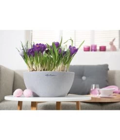 LECHUZA® Kunststoff-Schale Cubeto Stone, Rund 21 LECHUZA® Kunststoff-Schale Cubeto Stone, Rund -Gartenmöbelgeschäft 2182574 2180354 WE MO 015 LECHUZACubetoColorrundgranit