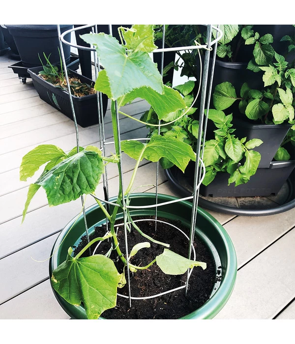 Bellissa Gurkenturm, 120 Cm - Ø 20 Cm 4 Bellissa Gurkenturm, 120 Cm - Ø 20 Cm – Bild 4