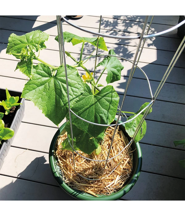 Bellissa Gurkenturm, 120 Cm - Ø 20 Cm 5 Bellissa Gurkenturm, 120 Cm - Ø 20 Cm – Bild 5