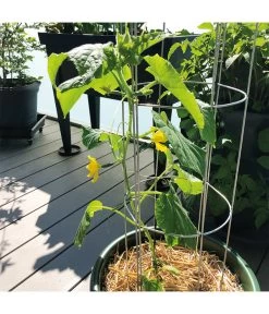 Bellissa Gurkenturm, 120 Cm - Ø 20 Cm 15 Bellissa Gurkenturm, 120 Cm - Ø 20 Cm -Gartenmöbelgeschäft 2366649 WE DE 003 BellissaGurkenturm120cm