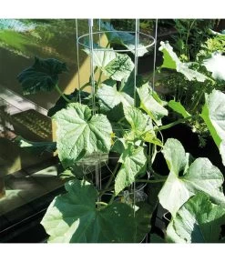 Bellissa Gurkenturm, 120 Cm - Ø 20 Cm 17 Bellissa Gurkenturm, 120 Cm - Ø 20 Cm -Gartenmöbelgeschäft 2366649 WE DE 005 BellissaGurkenturm120cm