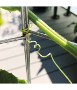 Bellissa Gurkenturm, 120 Cm - Ø 20 Cm 18 Bellissa Gurkenturm, 120 Cm - Ø 20 Cm -Gartenmöbelgeschäft 2366649 WE DE 006 BellissaGurkenturm120cm