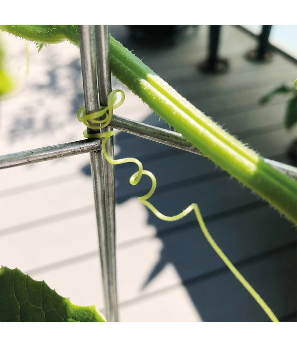 Bellissa Gurkenturm, 120 Cm - Ø 20 Cm 9 Bellissa Gurkenturm, 120 Cm - Ø 20 Cm – Bild 9