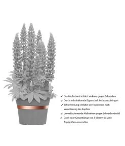 Dehner Bio Schneckenband Kupfer, 5 M -Gartenmöbelgeschäft 2536555 WE IG 001 DehnerBioSchneckenbandKupfer5m