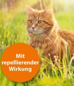 ARDAP® Zecken- Und Flohschutz Spot-On Für Katzen Ab 4 Kg, 3 X 0,8 Ml -Gartenmöbelgeschäft 2599165 WE DE 002 ArdapQuikoKZbhSpotOn4kgPlus