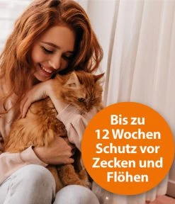 ARDAP® Zecken- Und Flohschutz Spot-On Für Katzen Ab 4 Kg, 3 X 0,8 Ml -Gartenmöbelgeschäft 2599165 WE DE 003 ArdapQuikoKZbhSpotOn4kgPlus