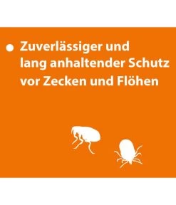 ARDAP® Zecken- Und Flohschutz Spot-On Für Katzen Ab 4 Kg, 3 X 0,8 Ml -Gartenmöbelgeschäft 2599165 WE DE 004 ArdapQuikoKZbhSpotOn4kgPlus