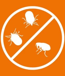 ARDAP® Zecken- Und Flohschutz Spot-On Für Katzen Ab 4 Kg, 3 X 0,8 Ml -Gartenmöbelgeschäft 2599165 WE DE 005 ArdapQuikoKZbhSpotOn4kgPlus