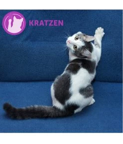 FELIWAY® Alltagshelfer Classic Start-Set -Gartenmöbelgeschäft 3019957 WE M 002 neuCevaFeliwayClassicStarterSet