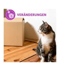 FELIWAY® Alltagshelfer Classic Start-Set -Gartenmöbelgeschäft 3019957 WE M 003 neuCevaFeliwayClassicStarterSet