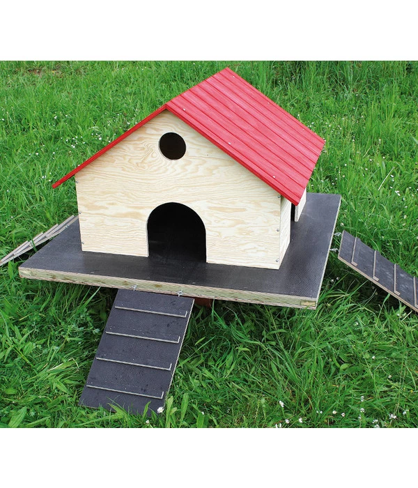 Elmato® Treppe Für Entenhaus 1 Elmato® Treppe Für Entenhaus