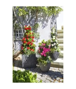 Dehner Polystone-Topf Brisbane In Riffeloptik, Rund -Gartenmöbelgeschäft 3158847 3158870 3158888 3158995 3159092 3159126 WE MO 004 PolystoneTopfinRiffeloptikrundsand