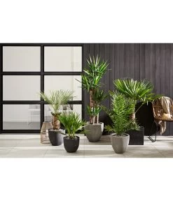 Dehner Polystone-Topf Brisbane In Riffeloptik, Rund -Gartenmöbelgeschäft 3158847 3158870 3158888 WE MO 002 PolystoneTopfinRiffeloptikrundsand