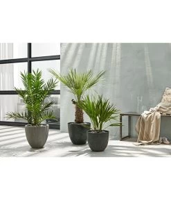 Dehner Polystone-Topf Brisbane In Riffeloptik, Rund -Gartenmöbelgeschäft 3158847 3158870 3158888 WE MO 003 PolystoneTopfinRiffeloptikrundsand