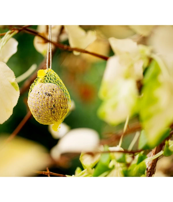 Dehner Natura Meisen-Knödel 2 Dehner Natura Meisen-Knödel – Bild 2