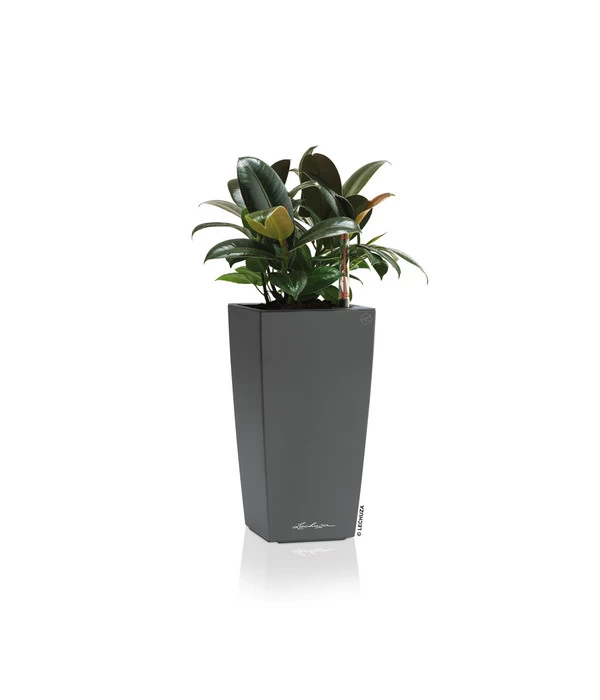 LECHUZA® MAXI/MINI-CUBI, All-in-One-Set 3 LECHUZA® MAXI/MINI-CUBI, All-in-One-Set – Bild 3