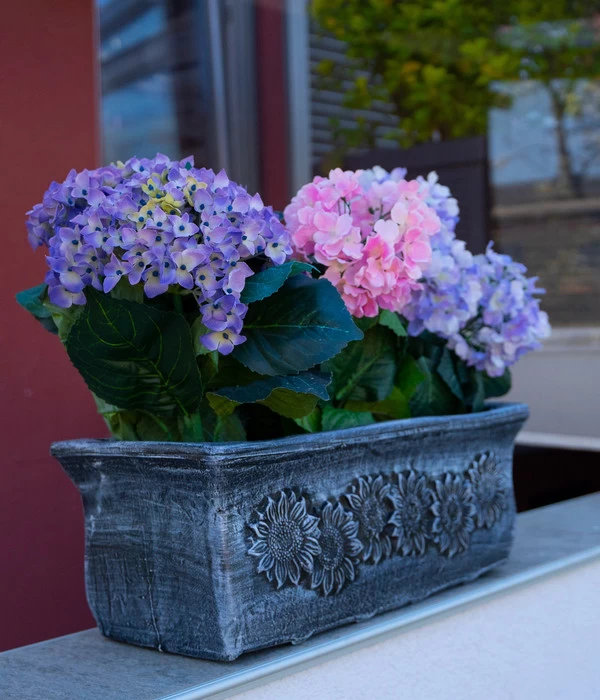 Roto Kunststoff-Pflanzkasten Planika, Rechteckig, Dunkelgrau, Ca. B49,5/H18,5/T20,5 Cm 2 Roto Kunststoff-Pflanzkasten Planika, Rechteckig, Dunkelgrau, Ca. B49,5/H18,5/T20,5 Cm – Bild 2