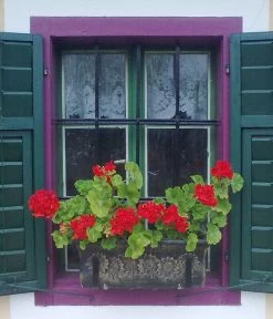 Roto Kunststoff-Pflanzkasten Planika, Rechteckig, Dunkelgrau, Ca. B49,5/H18,5/T20,5 Cm 5 Roto Kunststoff-Pflanzkasten Planika, Rechteckig, Dunkelgrau, Ca. B49,5/H18,5/T20,5 Cm -Gartenmöbelgeschäft 4145769 WE MO 002 RotoKastenPlanika