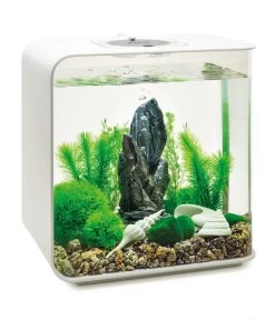 BiOrb® Aquariumdeko Decor Set 30 L Stone Garden -Gartenmöbelgeschäft 4163812 WE M 004 BiOrbAquariumdekoDecorSet30LStoneGarden
