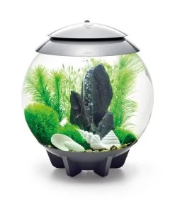 BiOrb® Aquariumdeko Decor Set 30 L Stone Garden -Gartenmöbelgeschäft 4163812 WE M 005 BiOrbAquariumdekoDecorSet30LStoneGarden