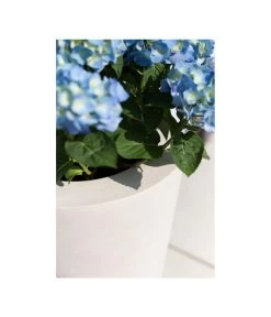 Fleur Ami Polystone-Pflanzgefäß Conical, Konisch, Ca. Ø43/H80 Cm 11 Fleur Ami Polystone-Pflanzgefäß Conical, Konisch, Ca. Ø43/H80 Cm -Gartenmöbelgeschäft 4183984 WE MO 002 fleuramiPolystoneConicalPflanzgefaess43x80cmCreme