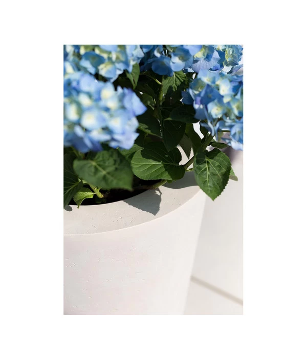 Fleur Ami Polystone-Pflanzgefäß Conical, Konisch, Ca. Ø43/H80 Cm 5 Fleur Ami Polystone-Pflanzgefäß Conical, Konisch, Ca. Ø43/H80 Cm – Bild 5