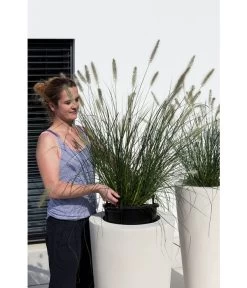 Fleur Ami Polystone-Pflanzgefäß Conical, Konisch, Ca. Ø43/H80 Cm 9 Fleur Ami Polystone-Pflanzgefäß Conical, Konisch, Ca. Ø43/H80 Cm -Gartenmöbelgeschäft 4183984 WE MO 003 PolystPflgef43x80cmCreme