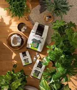 LECHUZA® PON Pflanzensubstrat -Gartenmöbelgeschäft 4191144 3679685 4191342 WE MO 003 LechuzaPonSubstrat