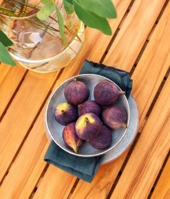 Dehner Aluminium-Lounge Malibu, 2-teilig -Gartenmöbelgeschäft 4209870 WE DE 006 LoungeMalibuNEU