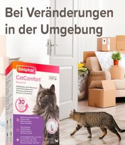 Beaphar Erziehungshilfe CatComfort Starter-Kit -Gartenmöbelgeschäft 4310256 WE DE 005 BeaKZbhCatComfortStarterKit