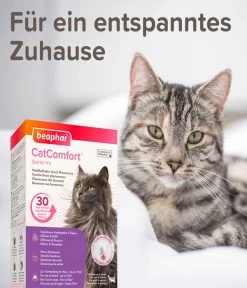 Beaphar Erziehungshilfe CatComfort Starter-Kit -Gartenmöbelgeschäft 4310256 WE DE 006 BeaKZbhCatComfortStarterKit