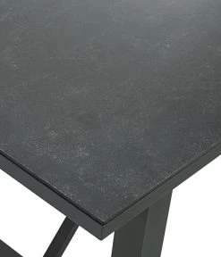 Dehner Alutisch Monaco, Ca. B200/H73/T90 Cm -Gartenmöbelgeschäft 4424891 WE DE 001 TischMonaco