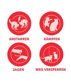 FELIWAY® Alltagshelfer Friends Nachfüllflakon -Gartenmöbelgeschäft 4477311 4477329 WE D 001 CevaFeliwayFriends