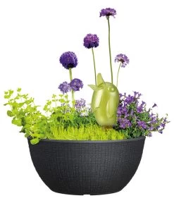 Scheurich Kunststoff-Topf Barceo Bowl, Rund, Ca. Ø39/H18 Cm -Gartenmöbelgeschäft 4499190 WE FS 002 ScheurichKunststoffTopfBarceoBowlrund