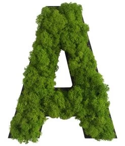 StyleGREEN Buchstaben Aus Islandmoos, Ca. H25 Cm
