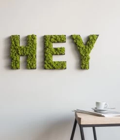 StyleGREEN Buchstaben Aus Islandmoos, Ca. H25 Cm -Gartenmöbelgeschäft 6429435 WE MO 003 BuchstabenIslandmoosHey