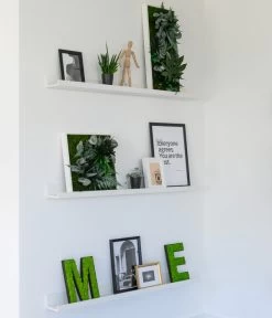 StyleGREEN Buchstaben Aus Islandmoos, Ca. H25 Cm -Gartenmöbelgeschäft 6429435 WE MO 004 BuchstabenIslandmoosimRegal