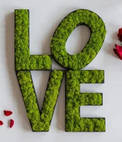 StyleGREEN Buchstaben Aus Islandmoos, Ca. H25 Cm -Gartenmöbelgeschäft 6429435 WE MO 007 BuchstabenIslandmoosLove