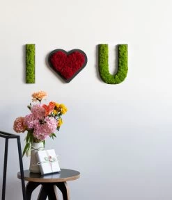 StyleGREEN Buchstaben Aus Islandmoos, Ca. H25 Cm -Gartenmöbelgeschäft 6429518 6429633 WE MO 001 BuchstabenIslandmoosILoveU