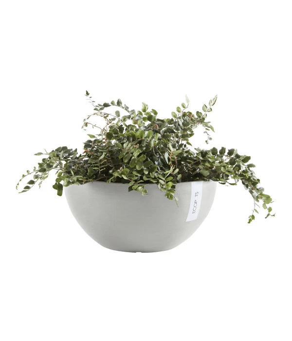 Ecopots Kunststoff-Topf Brussels, Rund 2 Ecopots Kunststoff-Topf Brussels, Rund – Bild 2