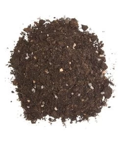 Floragard Zitrus- Und Mediterranpflanzenerde -Gartenmöbelgeschäft 6624191 WE DE 002 FloragardZitruspflanzundMediterranpflanzenerde