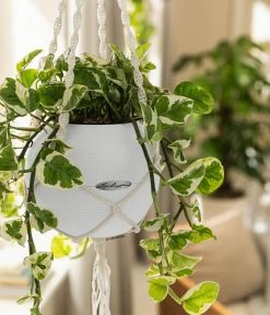 LECHUZA® PURO Color, All-in-One-Set, Inkl. Makramee-Aufhängung -Gartenmöbelgeschäft 6695415 WE MO 001 PuroColorMakrameeSetWeiss