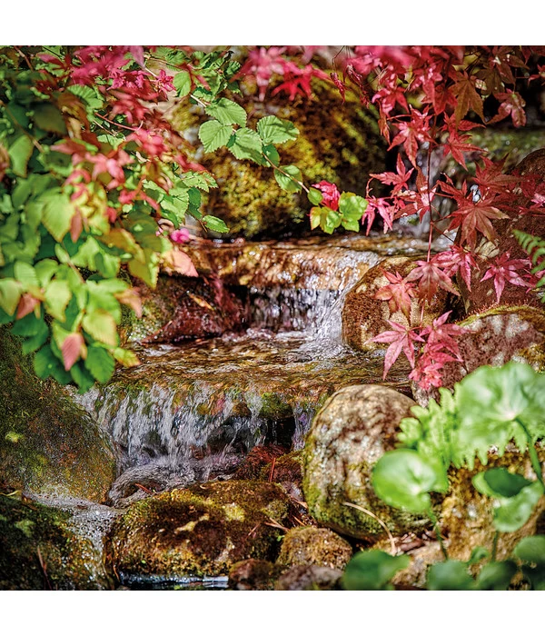 Pontec PondoMax Eco – Bild 3