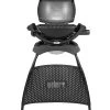 Weber Gasgrill Q 1000, 43 X 32 Cm